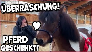 Sie dachte, er sei schon verkauft! Freundin Pferd geschenkt ♥