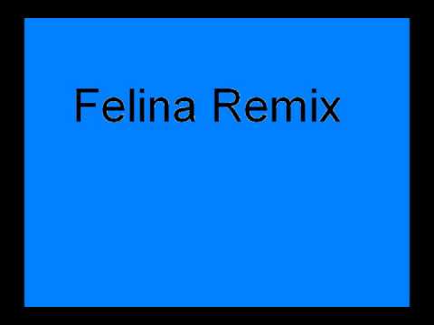 *Felina Remix - Ivy﻿ Queen, Hector y Tito, Wisin y Yandel*