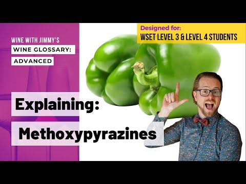 Explaining Wine Terminology: Methoxypyrazines for WSET Levels 3 and 4