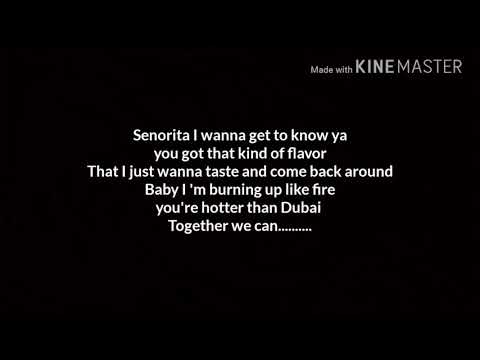 Ahzee & Faydee - Burn it Down (Lyric Video)