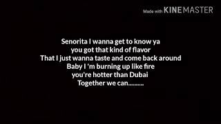 Ahzee &amp; Faydee - Burn it Down (Lyric Video)