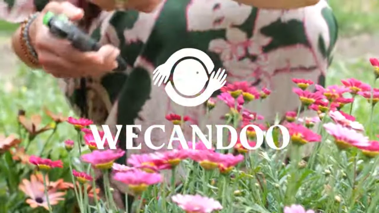 Cueillez vos plantes et réalisez votre foulard en éco-print - Vidéo