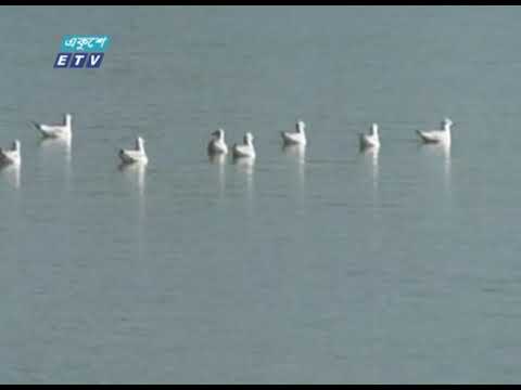 নাফ নদী থেকে ৯ বাংলাদেশি জেলেকে ধরে নিয়ে গেছে বিজিপি | ETV News