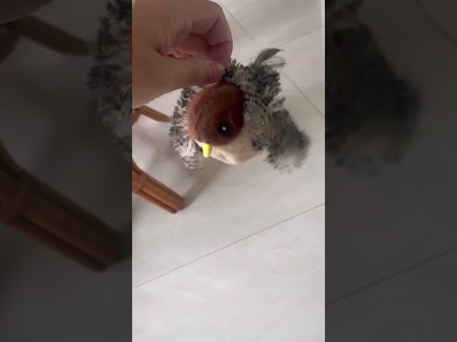 Vídeo relacionado con TUXCAXI Realista Control de Voz eléctrico Estatuilla de pájaro Simulación Jaula de pájaros Juguete para Gato Canto Interactivo Sonido Reproducción Evento