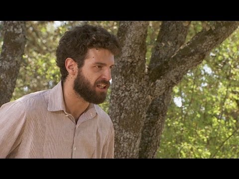 El secreto de Puente Viejo - Bosco libera a Inés de la amenaza de Plácido