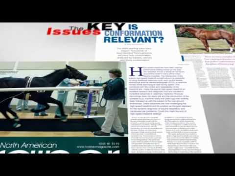Trainer Magazine TV