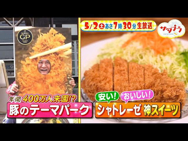 サタプラ🈑試して焼肉のたれ★なぜ人気？豚のテーマパーク★シャトレーゼ神スイーツ