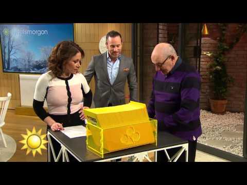 Kolla dagens trissvinst! - Nyhetsmorgon (TV4)