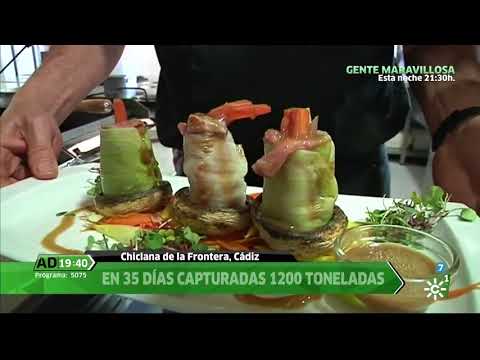 Última levantá de la temporada y Ruta del Atún en Chiclana, en Andalucía Directo
