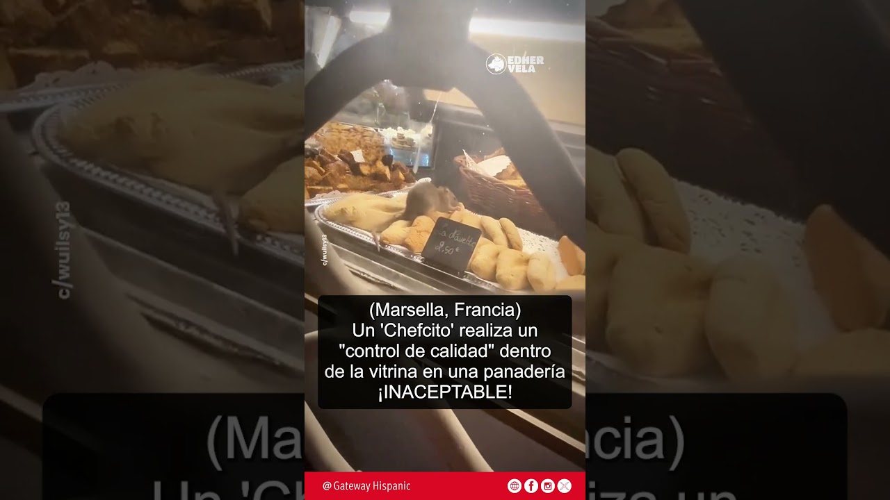 (Marsella, Francia) Ratas en la vitrina de una panadería