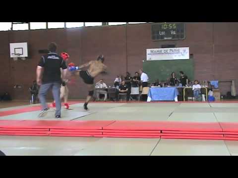 leone dis le cyborg (sanda 2011)