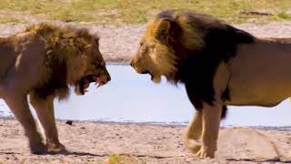 [問卦] 女人為什麼都喜歡家暴男？？