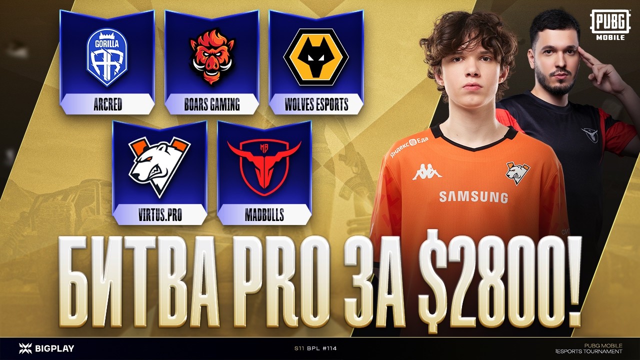 БИТВА ЗА 2800$ на FINAL BPL 114 S11! ARCRED, MADBULLS, VIRTUS PRO, WOLVES ! ТУРНИР PUBG MOBILE!