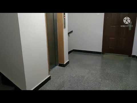 راجلي جابلي هدية🙄🐈🐱