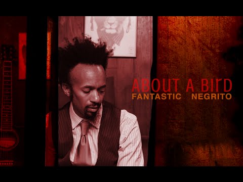 Video thumbnail for About a Bird