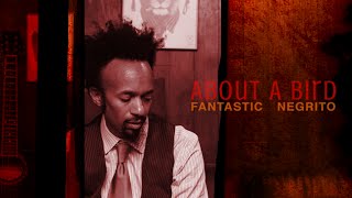 Fantastic Negrito - About a Bird  (Official Audio)