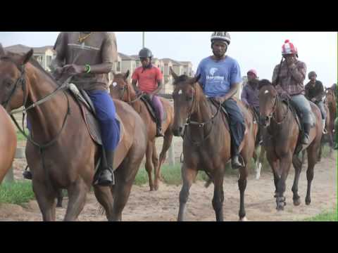 INVESTEC DAY OF DREAMS CTS MILLION DERBY KLAWERVLEI MAJORCA