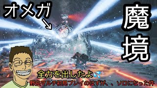 【MHws】オメガ初見プレイ‼️野良マルチのはずがソロになった件、、、🥲🥲討伐、出来たのか？！