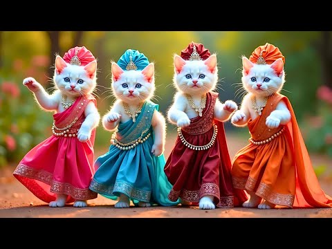 बिल्ली डांस | Cutest Cat videos funny dance🤣💃Videos for cats #funny #dancingcat #cat @Meow_cat99