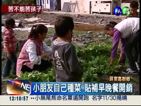 種菜貼補開銷 高樹鄉供餐助弱勢