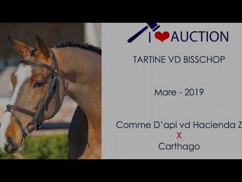 Tartine Vd Bisschop Showvideo