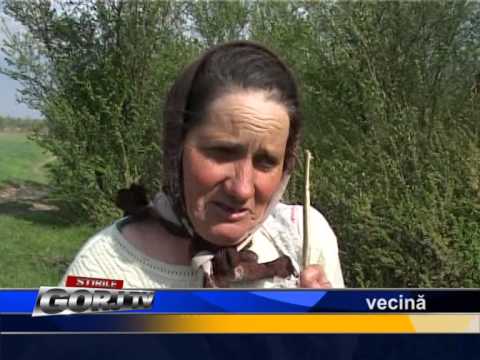 Înecat în Râul Tismana