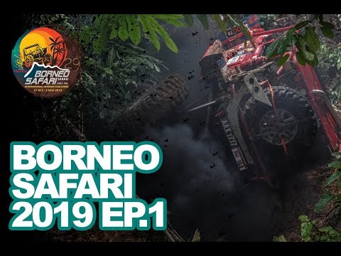 BORNEO SAFARI 2019 - EPISODE 1