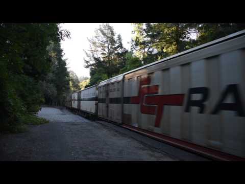 SCT Freight train  3AM9 with SCT009 SCT001