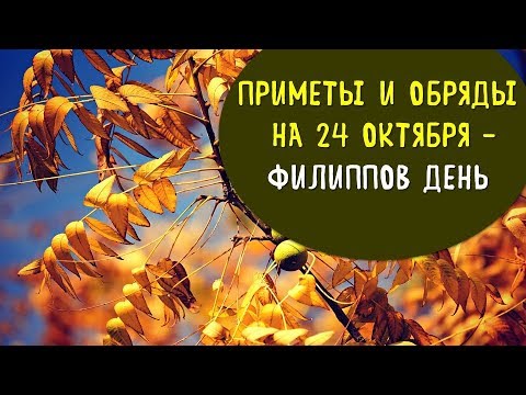 НАРОДНЫЕ ПРИМЕТЫ | ОБРЯДЫ | ЗАГОВОРЫ НА 24 ОКТЯБРЯ – ФИЛИППОВ ДЕНЬ | Эзотерика для Тебя Советы