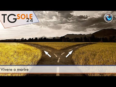 TgSole24 - 29 novembre 2021 - Vivere o morire