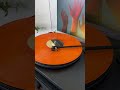 LOCKED GROOVES - BOY GENIUS #shorts