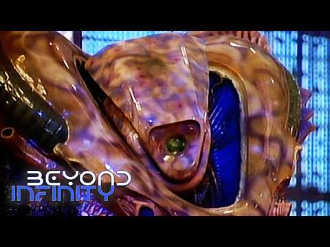 ClipZone: Beyond Infinity and 2 more