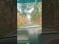 Jungle Main Kund Ho Gye