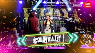 Download lagu CAMELIA - RISKA RENATA - WIJAYA ENTERTAINMENT mp3