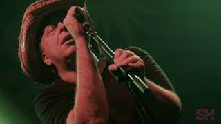 Ween - Mister Would You Please Help My Pony? (LIVE at Music Tastes Good)