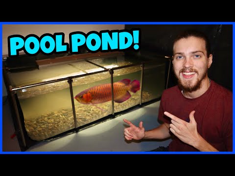 Setting Up My 500 Gallon POOL POND!