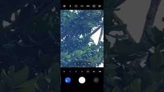 [討論] S23U相機算法異常？