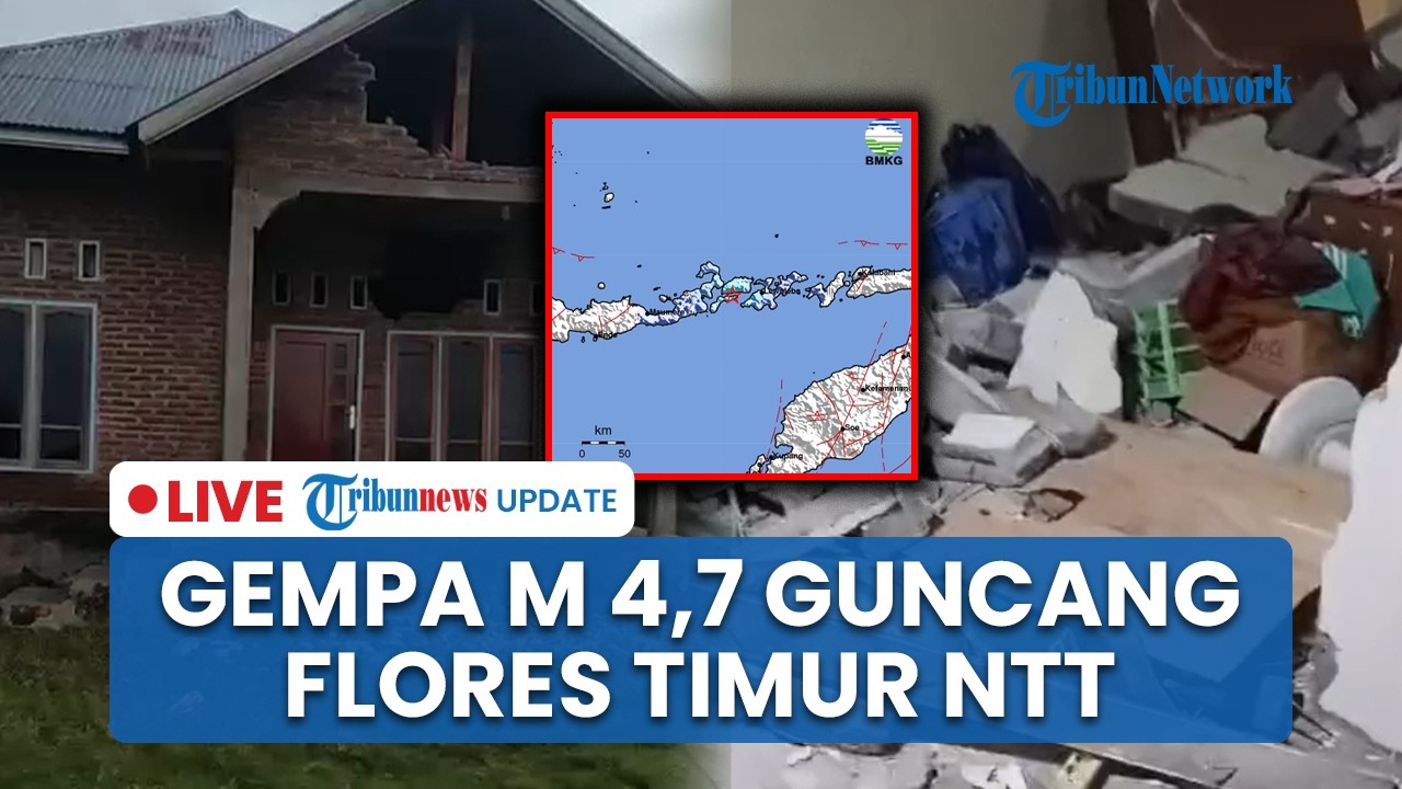 LIVE: Gempa 4,7 Magnitudo Guncang Lembata NTT: Puluhan Rumah Rusak, Belum Ada Laporan Korban Jiwa