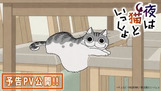 アニメ『夜は猫といっしょ』予告PV【8/3(水)より放送＆配信スタート！】