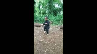 Download lagu kunfu kerdil mp3