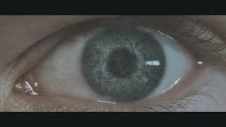 That Night Forests Grew - So Tell Me (OFFICIAL MUSIC VIDEO)