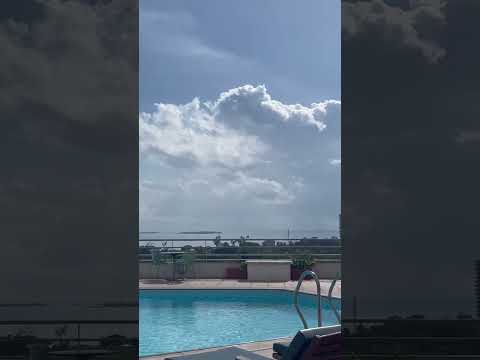 Sea Beach Life #trending #shorts #tiktok #viral #love #youtubeshorts