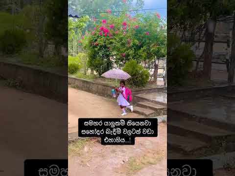 පින් කරන්න ඕනී මේ වගේ යාලුවෝ ලබන්න 🥺❤️ #viral