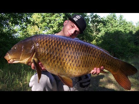 SBS Minuten - Tom Wenzel (Juli 2017)