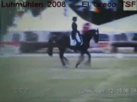 El Greco TSF Dressur