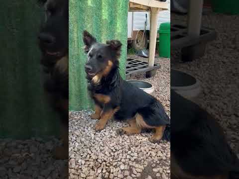 WhatsApp Video 2022 05 19 at 13 45 37