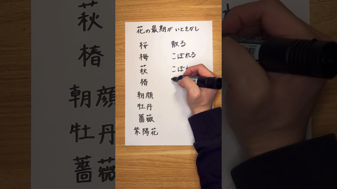 花の最期の表現が美しかった #japanese #kanji #桜