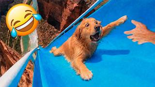 Funniest Animal Videos 2026 😂 When Animals Do the Last Thing You Expec