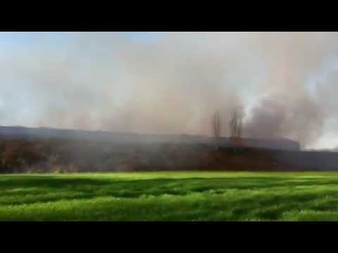 Fire at chicken farm in Frittenden, Kent