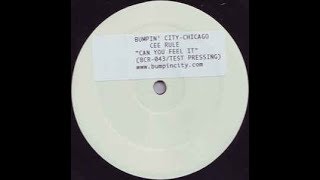 Cee Rule - Can You Feel It